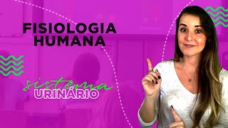 FISIOLOGIA HUMANA  SISTEMA URINÃRIO l Prof Louise Medeiros [upl. by Harve250]