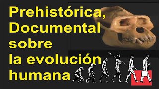 Prehistórica Documental sobre la evolución humana [upl. by Ahsinauj]