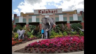 KALAHARI RESORT Wisconsin Dells Tour [upl. by Rosana]