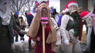 The Mummers Parade  St Johns Newfoundland and Labrador [upl. by Newg]