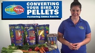 Converting your bird to pellets [upl. by Bac]