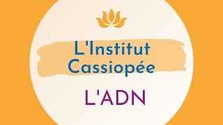 LADN de Cassiopée [upl. by Kingston]