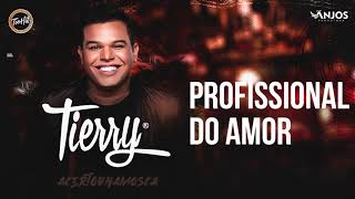 Tierry  Profissional do Amor [upl. by Jayson982]