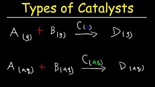 Homogeneous vs Heterogeneous Catalysts  Basic Introduction [upl. by Atilemrac]