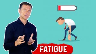 What Causes Fatigue – Dr Berg [upl. by Adilem430]