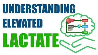 Understanding Elevated Lactate [upl. by Cobbie]