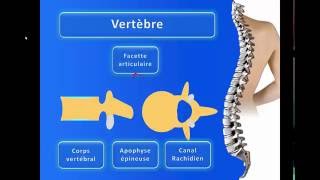 La Colonne Vertébrale [upl. by Susette270]