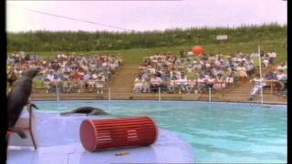 Pleasurewood Hills Promotional Video 1988 [upl. by Sungam]