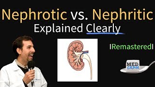 Nephrotic vs Nephritic Syndrome Proteinuria Hematuria Casts [upl. by Razec]