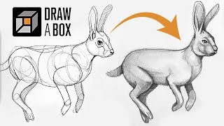 Learn to Draw for Free DrawABox Review [upl. by Sedgewake]