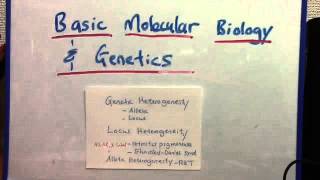 Genetic heterogeneity locus and allelic [upl. by Sral]