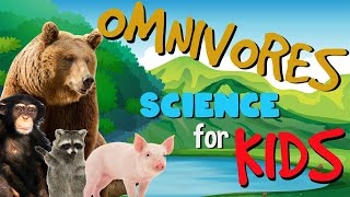 What is an Omnivore  Science for Kids [upl. by Tharp400]