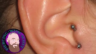 The Whole Truth  Vertical Tragus Piercing [upl. by Onirefes701]