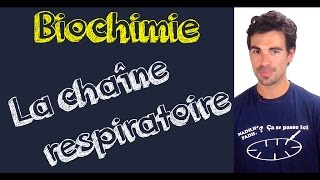 Cours de biochimie la chaîne respiratoire [upl. by Ardnauqal130]