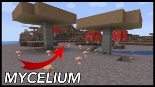 How To Get Mycelium In Minecraft [upl. by Haek629]