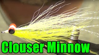 Clouser Minnow Fly Tying  Best All Purpose Saltwater Streamer Pattern  Bob Clouser Fly Pattern [upl. by Tobe]