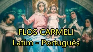 Flos Carmeli  LEGENDADO PTBR [upl. by Nicholas]