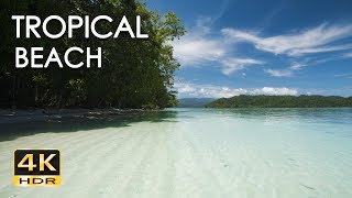 4K HDR Tropical Beach  Gentle Ocean Wave Sounds  Peaceful Wild Island  Relaxing Nature Video [upl. by Ahsiemak]