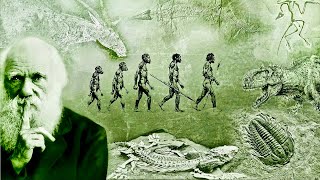 Evolution  What Darwin Never Knew  NOVA Full Documentary HD [upl. by Lisa]