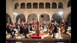 C SaintSaëns Il Carnevale degli Animali Il Cigno [upl. by Toor]