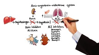 Pharmacology  HYPERTENSION amp ANTIHYPERTENSIVES MADE EASY [upl. by Kokoruda]