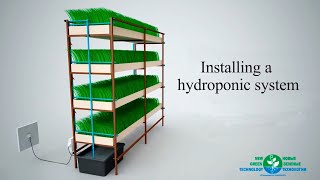 Installing The Hydroponic System [upl. by Notnef]