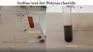 Iodine Test [upl. by Annehcu]