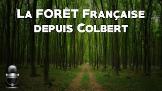 HGGSP Terminale La forêt française depuis Colbert [upl. by Ertnom439]