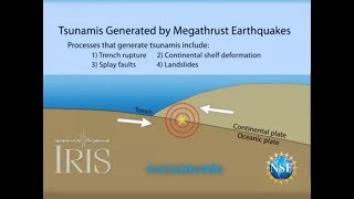 Tsunamis Generated by Megathrust Earthquakes [upl. by Aihselat]