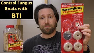 Control Fungus Gnats with BTI Mosquito Dunks  The Ultimate Guide [upl. by Suivatnad]