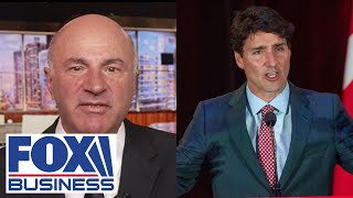 COUNTRY RUN BY IDIOTS Kevin OLeary torches Trudeau Canadian lawmakers [upl. by Ujawernalo]