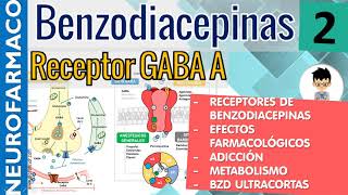 MECANISMO DE ACCIÓN RECEPTORES GABA BENZODIACEPINAS Efectos Farmacológicos Reacciones Adversas2 [upl. by Cristiona]