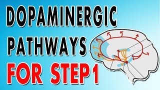 Dopaminergic Pathways [upl. by Edveh260]