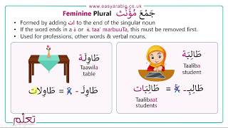 Beginners Arabic  Lesson 14  Arabic Plurals [upl. by Namref345]