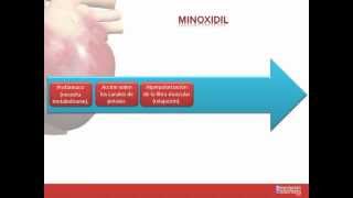 Tema 26 FARMACOLOGÍA CARDIOVASCULAR Fármacos indicados para la Hipertensión Arterial [upl. by Salokin]