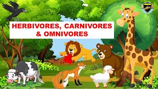 Herbivores  Carnivores  Omnivores  Types of Animals [upl. by Gnivre]