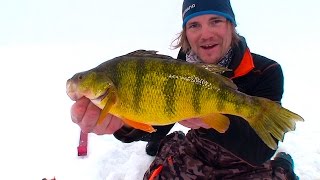 Tanker Perch Search Manitoba Western Region [upl. by Yrrak530]