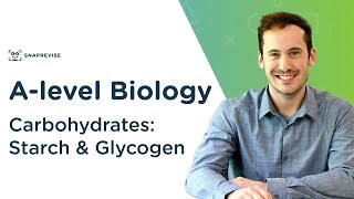 Carbohydrates Starch and Glycogen  Alevel Biology  OCR AQA Edexcel [upl. by Jaquith]