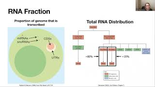 Webinar 11  Beginners guide to bulk RNASeq analysis [upl. by Faden]