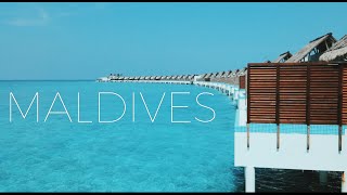 Maldives Travel Experiences [upl. by Elokin]