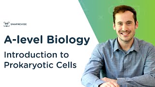 Introduction to Prokaryotic Cells  Alevel Biology  OCR AQA Edexcel [upl. by Shaver842]