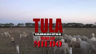 TULA TIERRA SIN MIEDO [upl. by Ran]