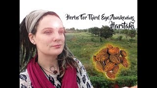 Herb for Third Eye Awakening Haritaki [upl. by Lrak]