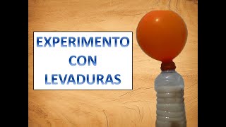 Experimento con levaduras [upl. by Eicnarf1]