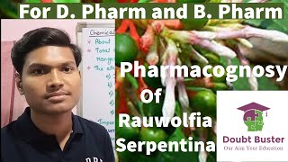 Rauwolfia serpentina  AntiHypertensive Drug  Sharpgandha  Pharmacognosy [upl. by Augie440]