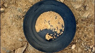 Pounds and Pounds of Gold I Mined Gold at Sterling Creek Mine  Glenn Wadstein [upl. by Ahsed]