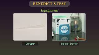 Benedicts Test [upl. by Wernick]