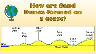 How are Sand Dunes formed on a coast  Labelled diagram and explanation [upl. by Novej]