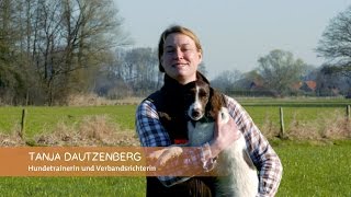 Basisausbildung für den brauchbaren Jagdhund quotSitz und Platzquot [upl. by Jake]