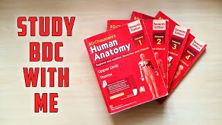 Best Way to Study BDC  Anatomy [upl. by Anait]